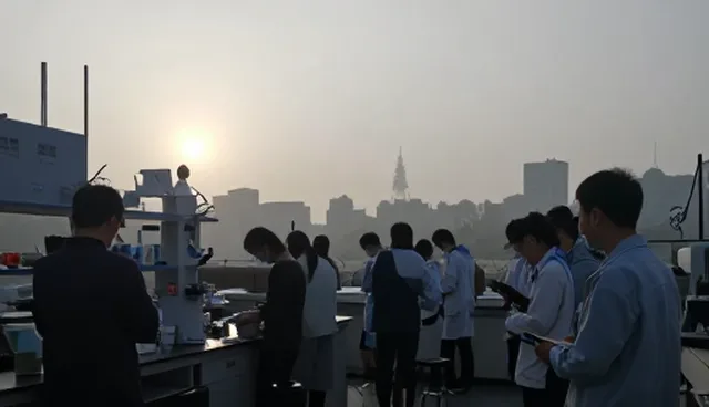 人员配置不足如何影响活动策划执行效果